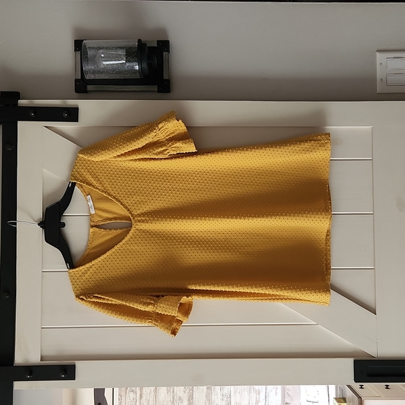 Reborn J Tops - AS IS Reborn J SwissDot blouse
